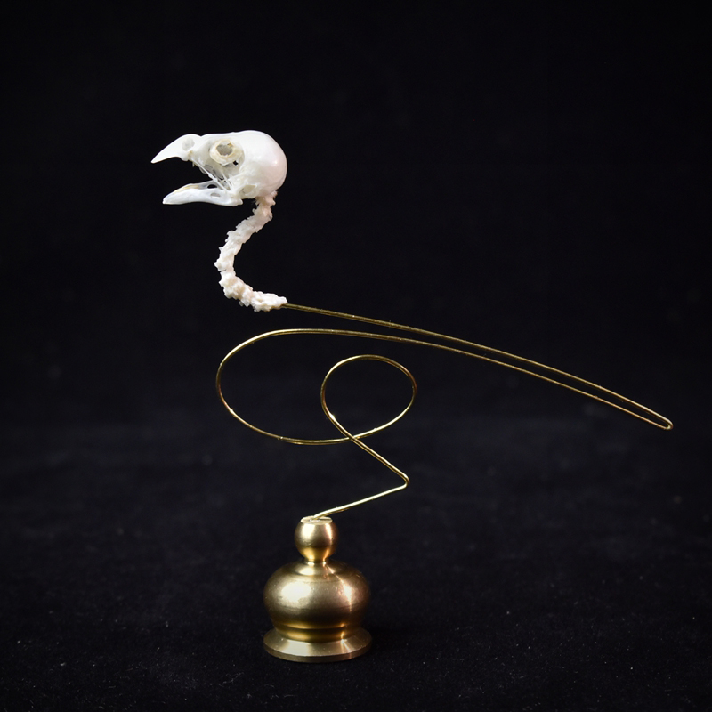 Art Craft Museum - 2111 تحفة فنية أنيقة على شكل