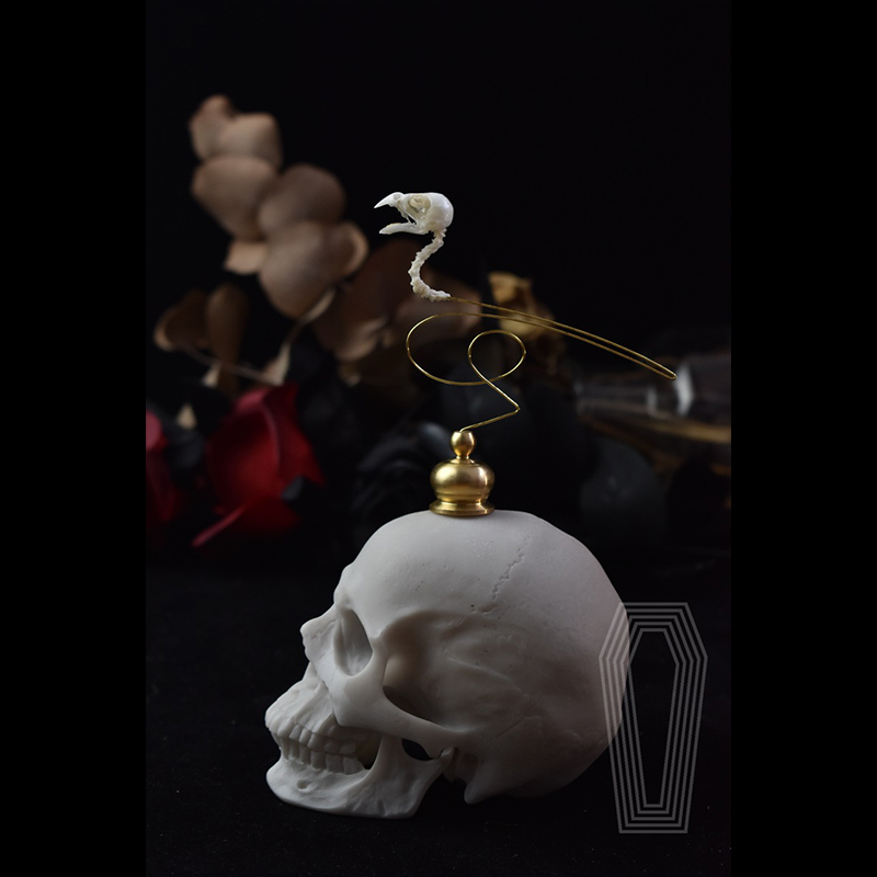 2111 تحفة فنية أنيقة على شكل ج - مراجعة Art Craft Museum وسعره