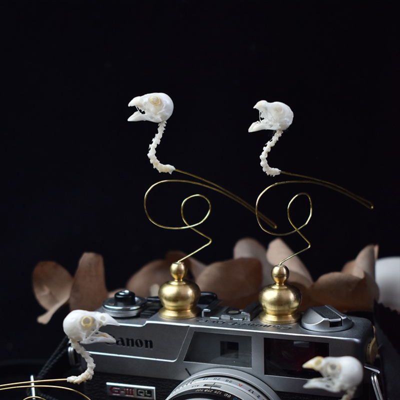 2111 تحفة فنية أنيقة على شكل ج - مراجعة Art Craft Museum وسعره