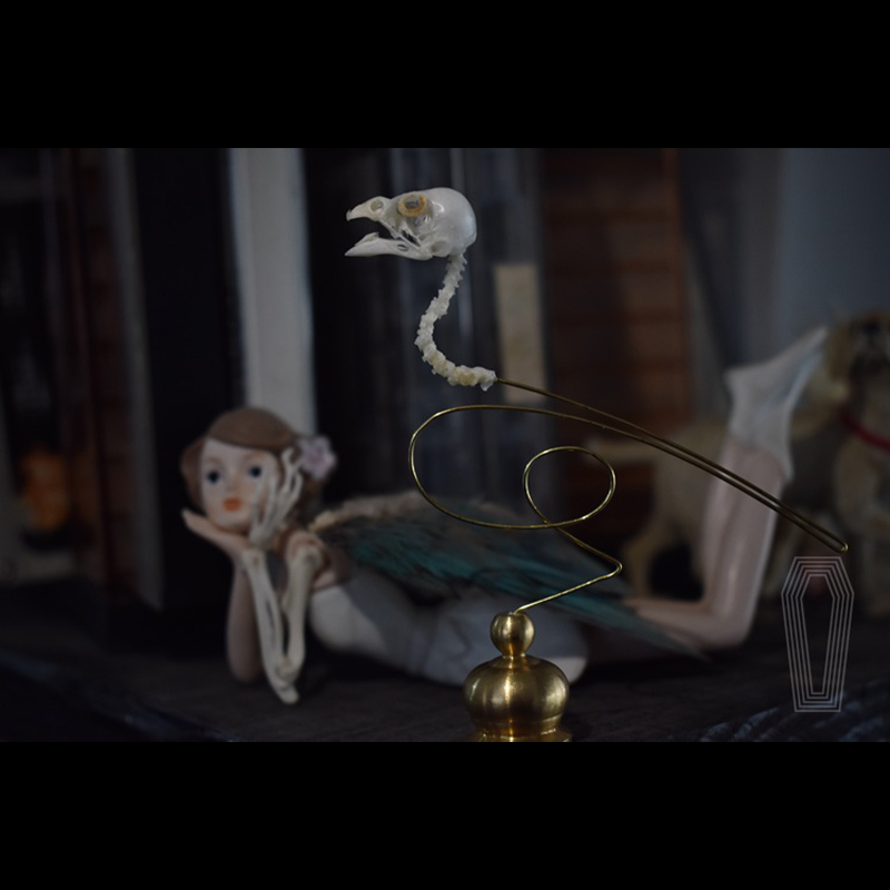 2111 تحفة فنية أنيقة على شكل ج - مراجعة Art Craft Museum وسعره